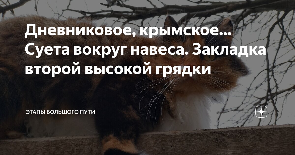 следующим этапом будет. перечислите этапы проектирования бд. этапы процедуры оценки недвижимости. последовательность этапов расчета цены. следующим этапом будет.