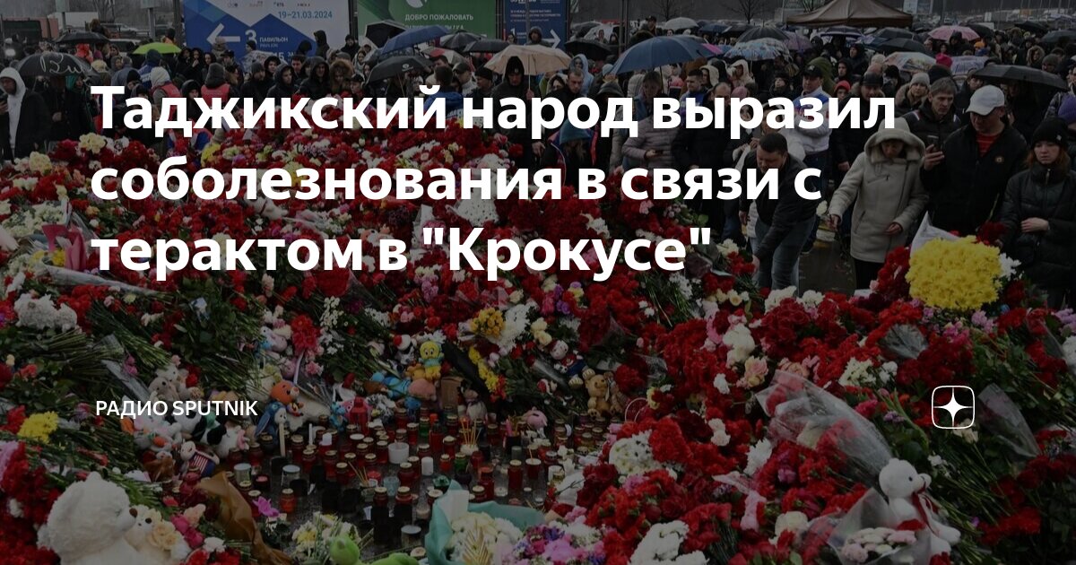 письмо-извенениеобразец. принцип передачи сигналов электросвязи. предлог в связи пишется. порядок производства дознания. умение устанавливать причинно-следственные связи.