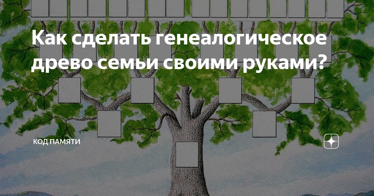 Как нарисовать генеалогическое дерево семьи поэтапно 7 уроков