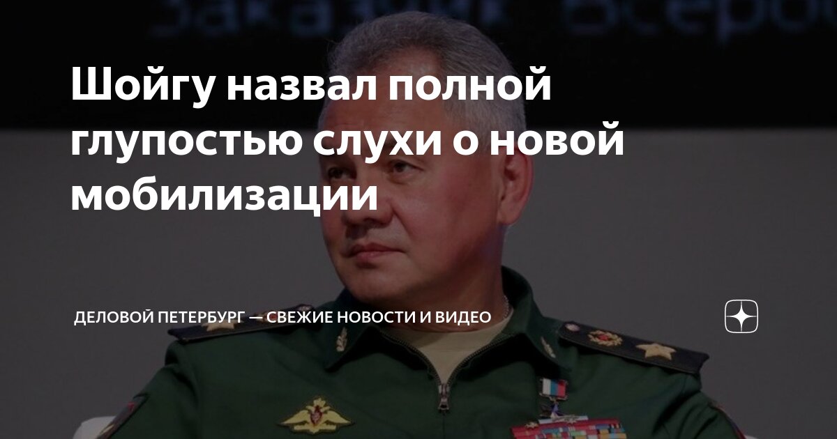 Шойгу назвал глупостью дополнительную мобилизацию. Шойгу назвал глупостью дополнительную мобилизацию