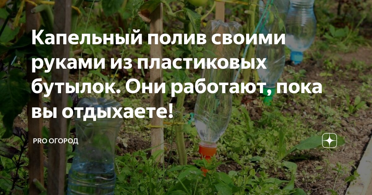 Капельный полив своими руками