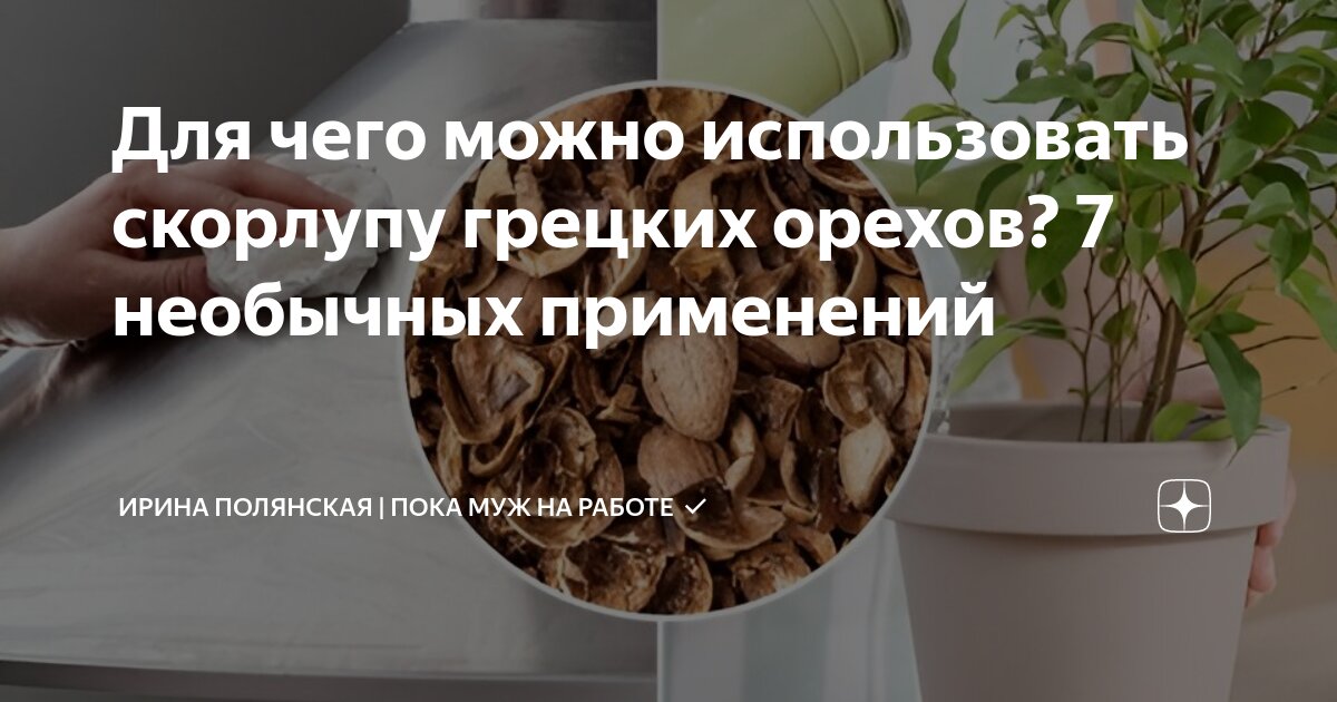 Скорлупа грецкого ореха. Куда продать скорлупу и зачем ее покупают?