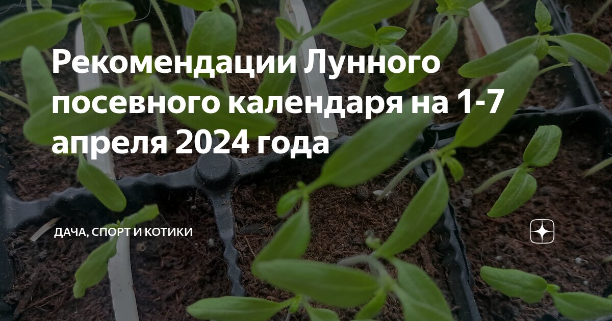 Лунный календарь на март 2024г денежный