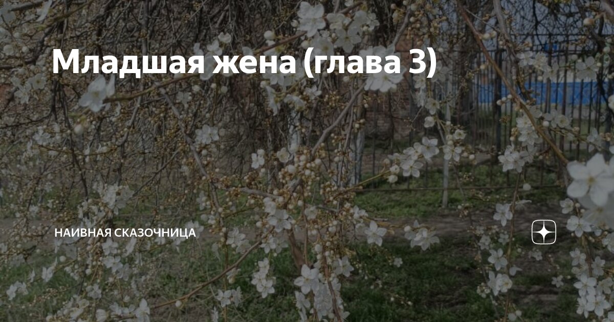 Младшая жена (глава 3) | Наивная сказочница | Дзен