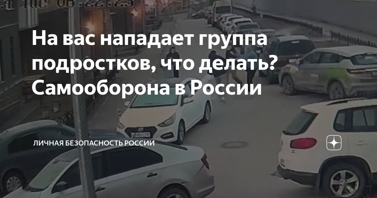 Как избежать нападения акулы и что делать, если это произошло - Лайфхакер