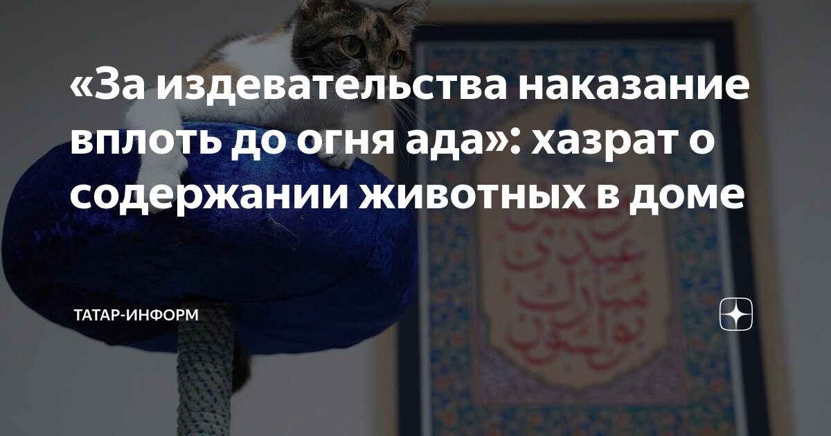 Тайная сила кошек: правда или вымысел