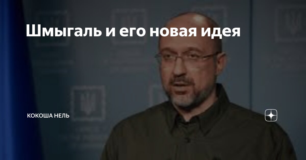 Шмыгаль и его новая идея | Кокоша Нель | Дзен