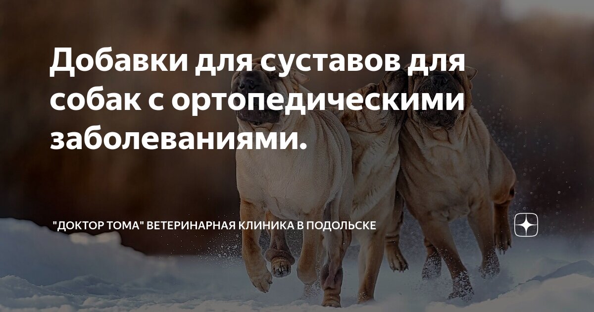 Добавки для суставов для собак с ортопедическими заболеваниями ...