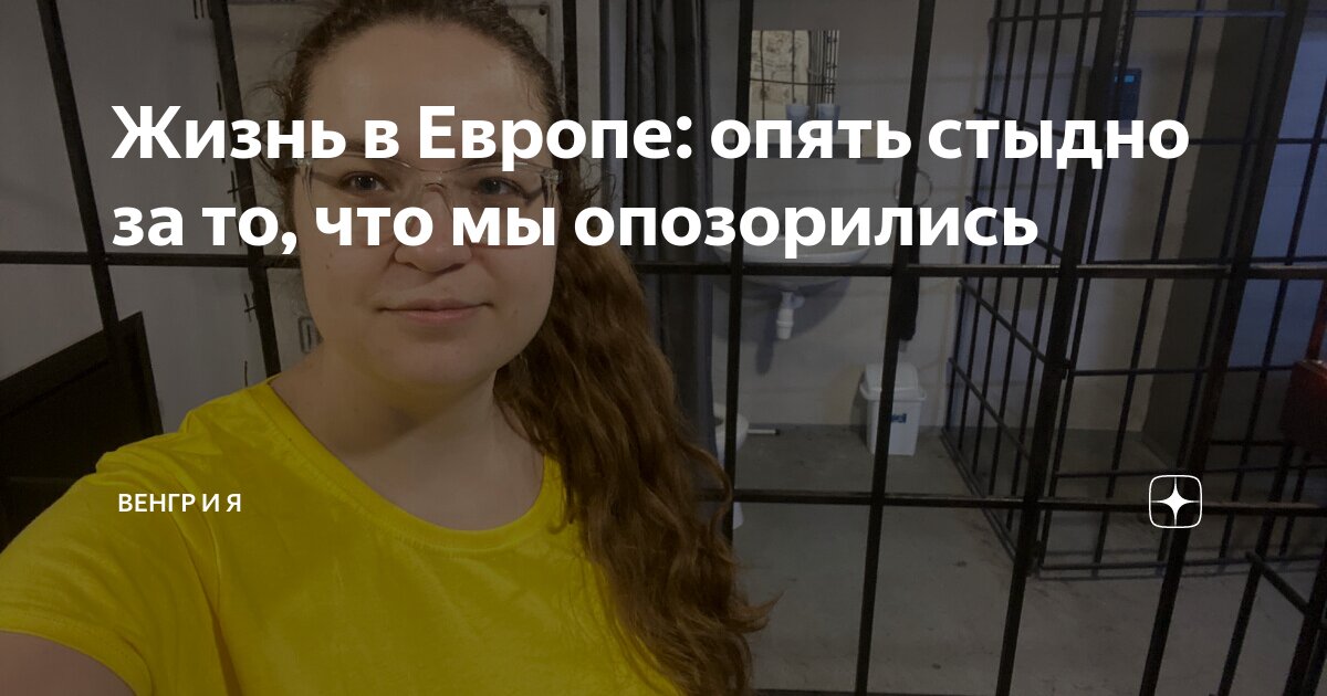 Жизнь в Европе: опять стыдно за то, что мы опозорились | Венгр и Я | Дзен