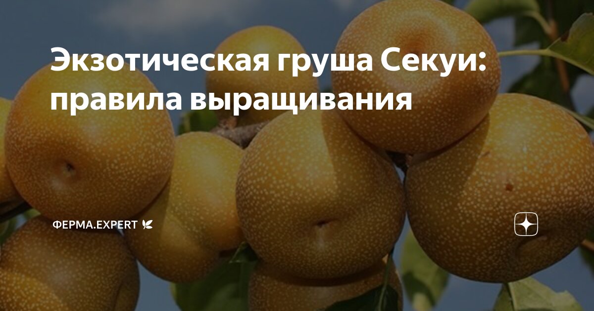 Уход в разные сезоны года
