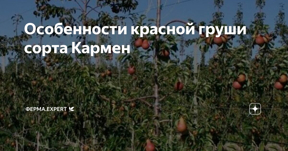 Уход и защита растений
