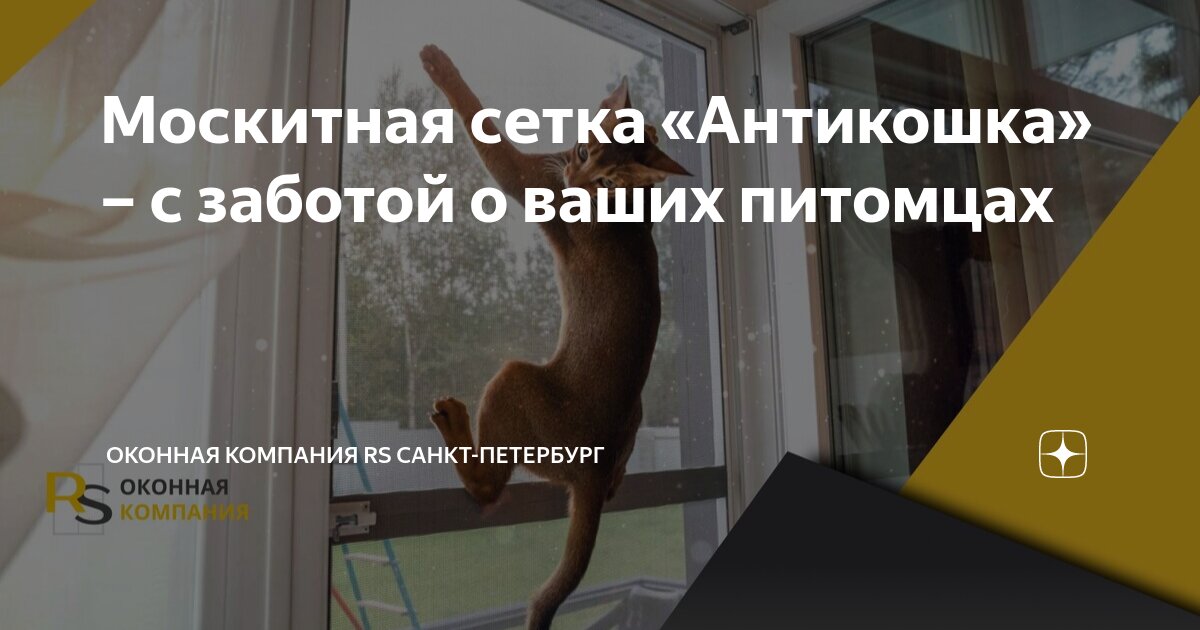 Москитная сетка «Антикошка» – с заботой о ваших питомцах | Оконная ...