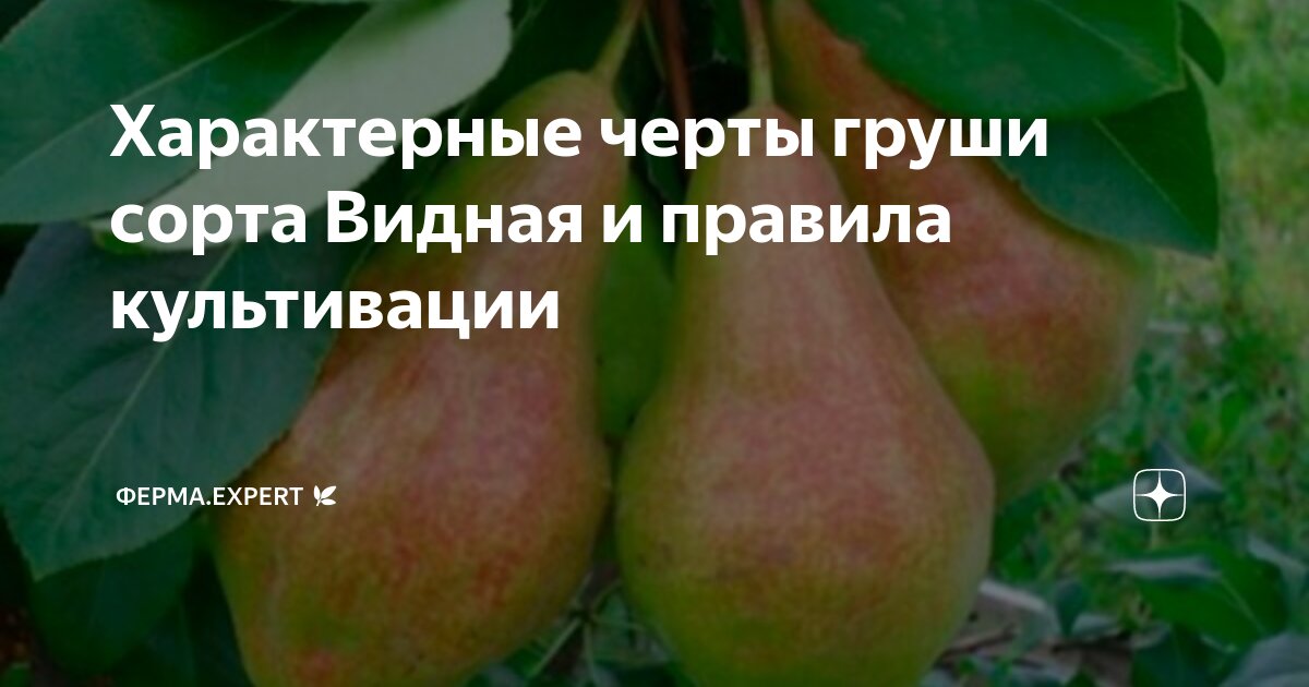 Основные характеристики плодов