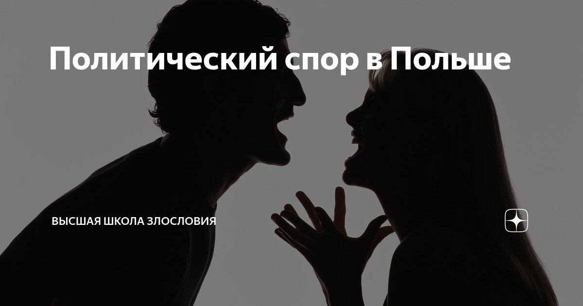 Политический спор в Польше | Высшая школа злословия | Дзен