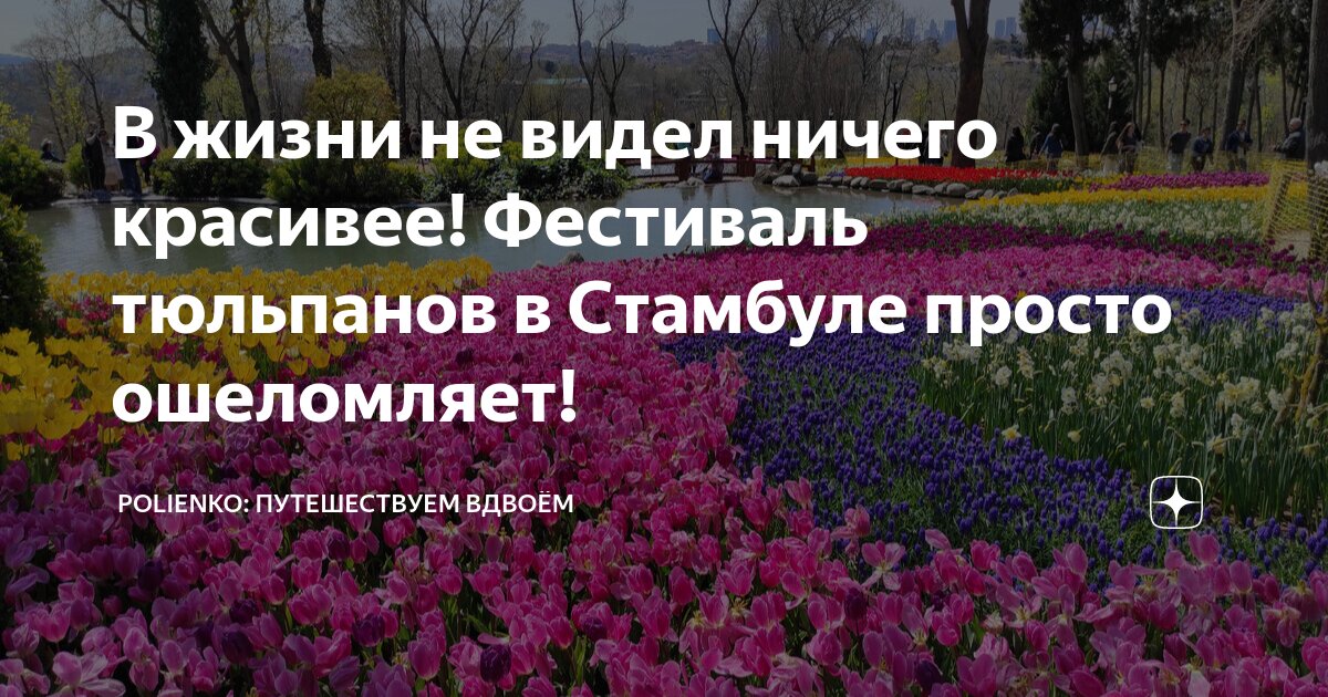 Вследствие ошеломления я не нашелся ничего ответить