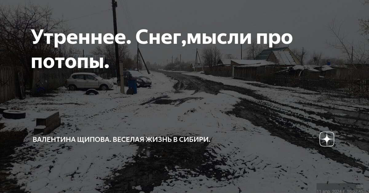 Утреннее. Снег,мысли про потопы. | Валентина Щипова. Веселая жизнь в ...