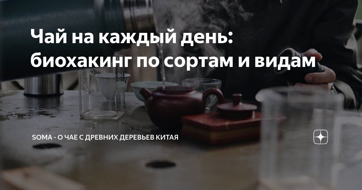 Чай на каждый день: биохакинг по сортам и видам | Магазин редкого чая с ...