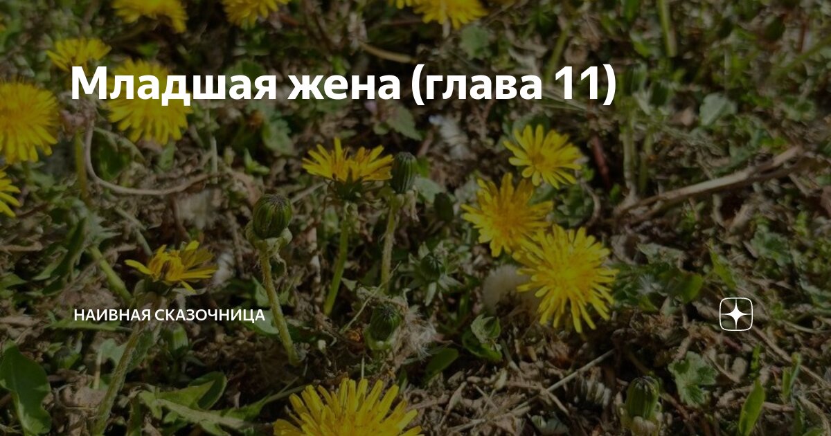 Младшая жена (глава 11) | Наивная сказочница | Дзен