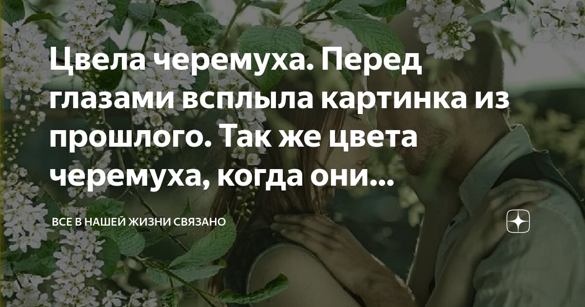 Цвела черемуха. Перед глазами всплыла картинка из прошлого. Так же ...