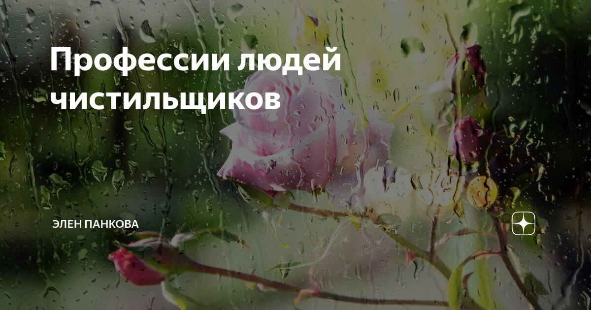 Профессии людей чистильщиков | Элен Панкова | Дзен