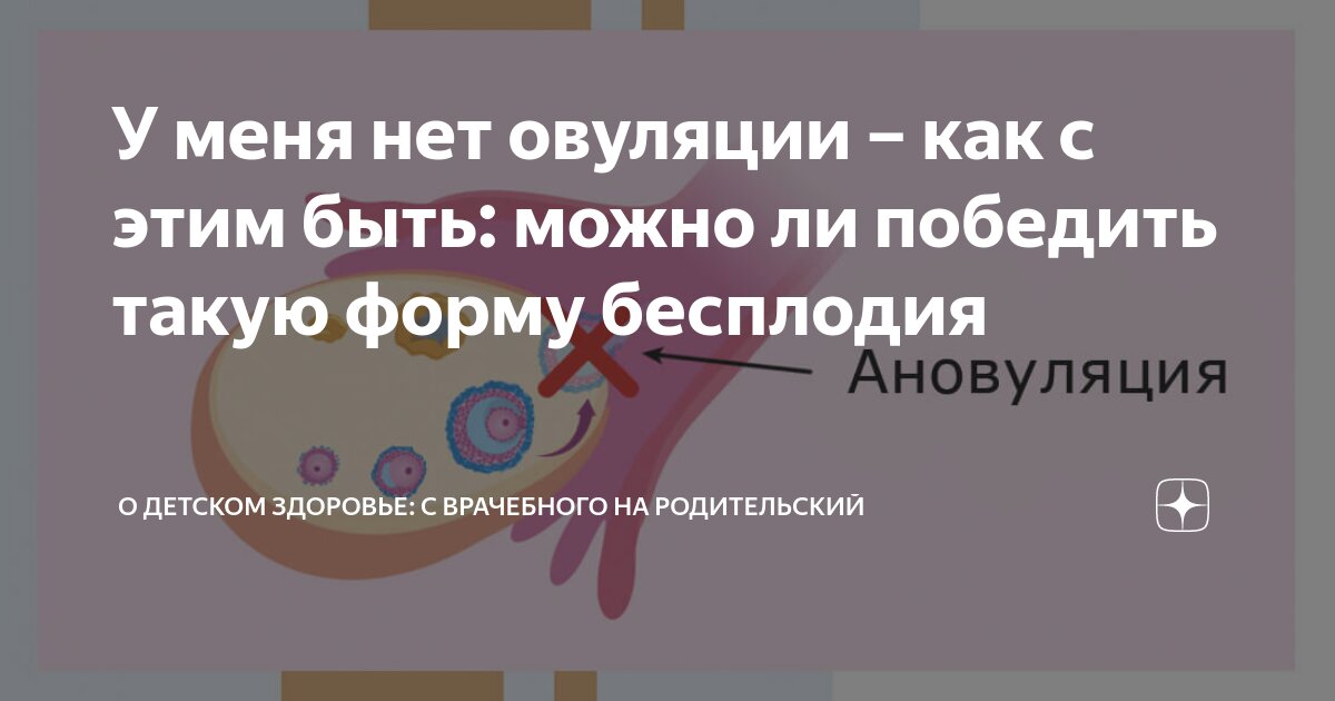 Если нет овуляции что это значит. Если нет овуляции что это значит