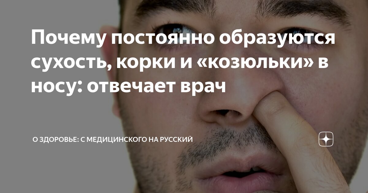 Почему постоянно образуются сухость, корки и «козюльки» в носу ...
