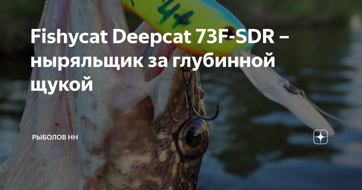 Fishycat Deepcat 73F-SDR – ныряльщик за глубинной щукой | Рыболов НН | Дзен