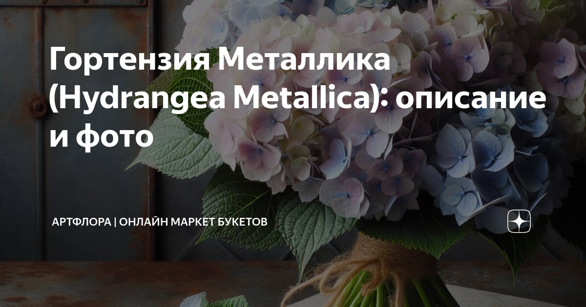 Гортензия метельчатая Металлика - Cадовый центр "Сияние"