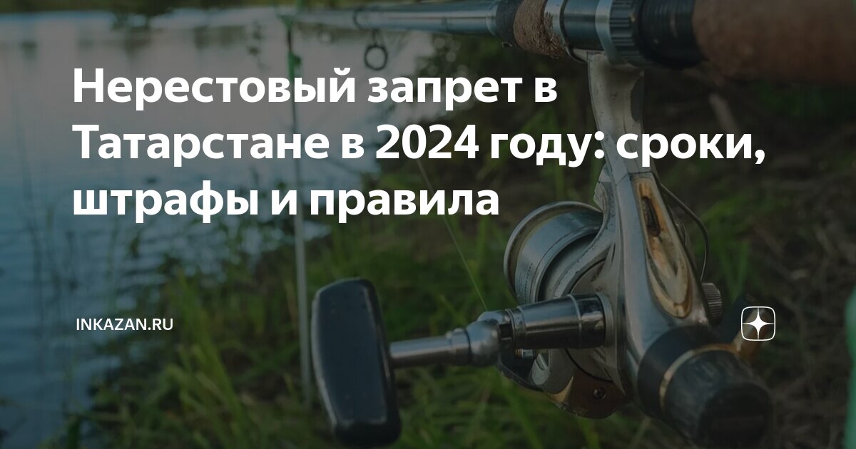 Нерестовый запрет в Татарстане в 2024 году: сроки, штрафы и правила ...