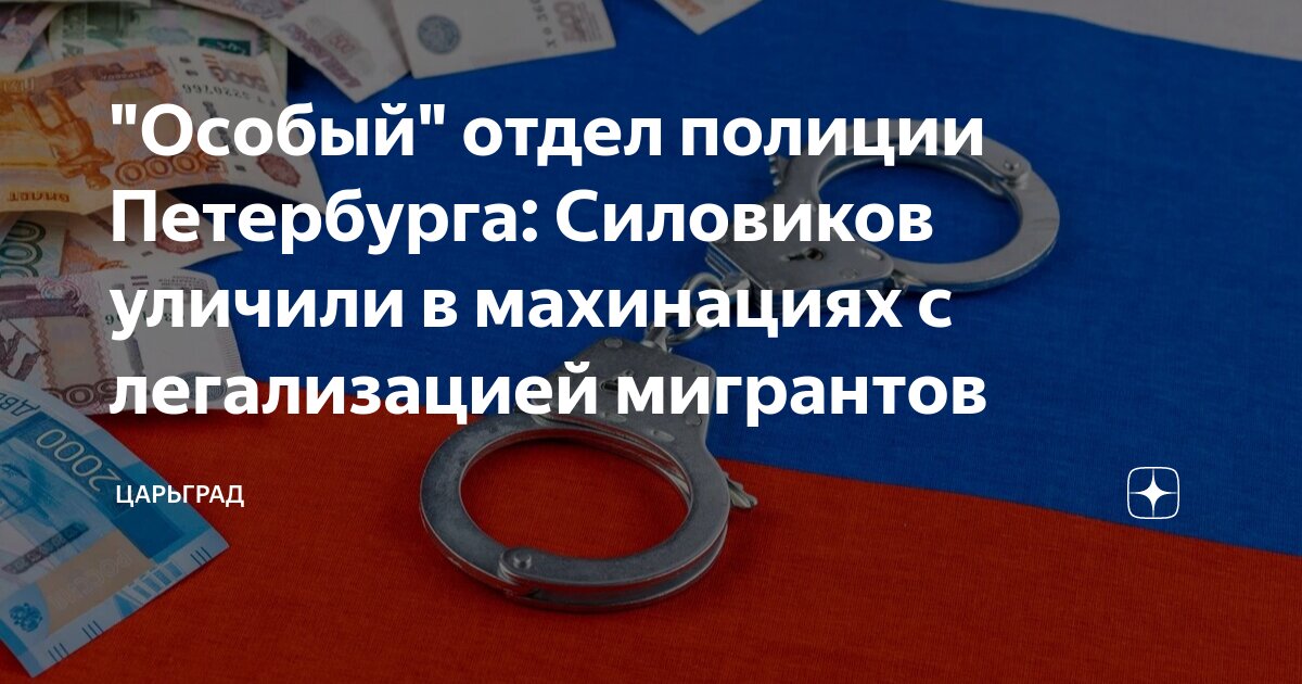 Особый отдел полиции Петербурга: Силовиков уличили в махинациях с легализацией мигрантов