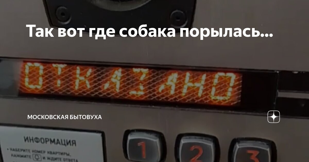 где собака порылась