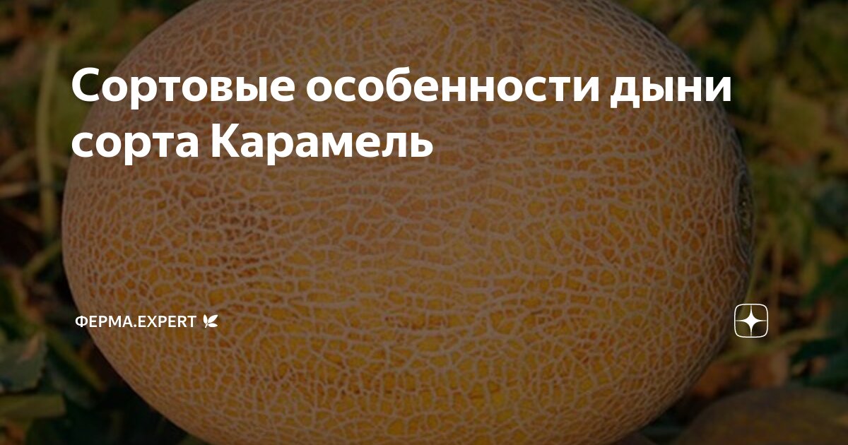 Подготовка почвы и удобрения