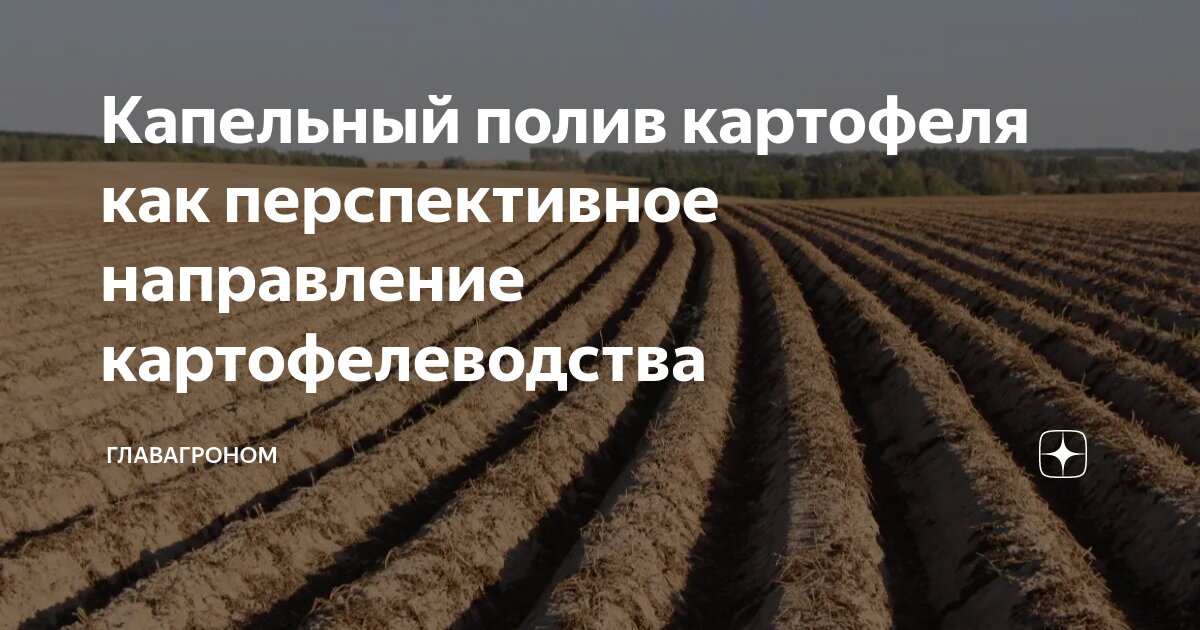 Режим капельного орошения и водопотребление картофеля на светло-каштановых почвах