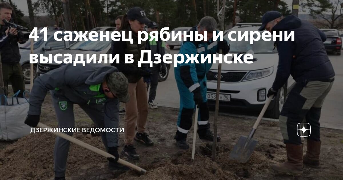 41 саженец рябины и сирени высадили в Дзержинске | Дзержинские ...
