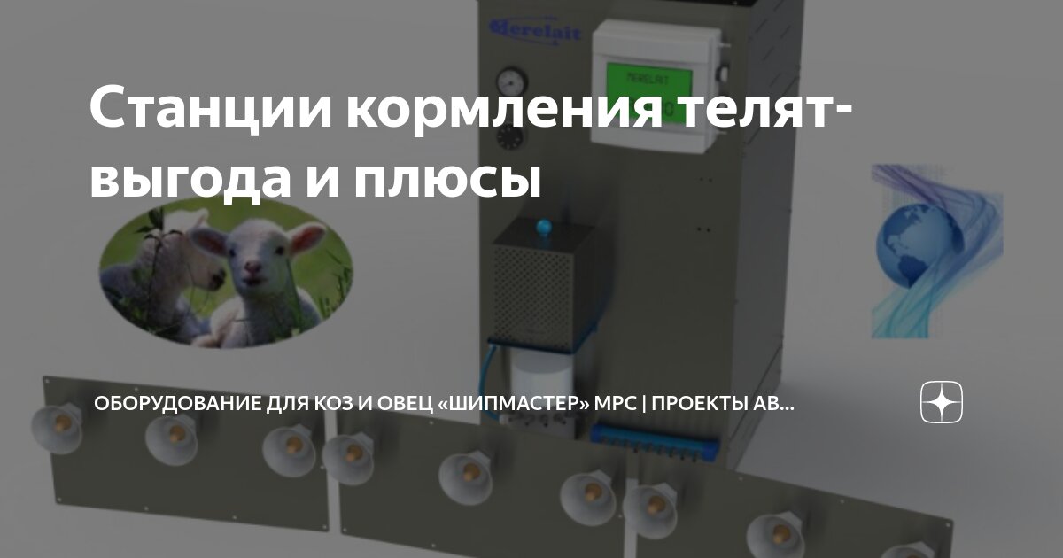 Станции кормления телят-выгода и плюсы | Оборудование для коз и овец ...