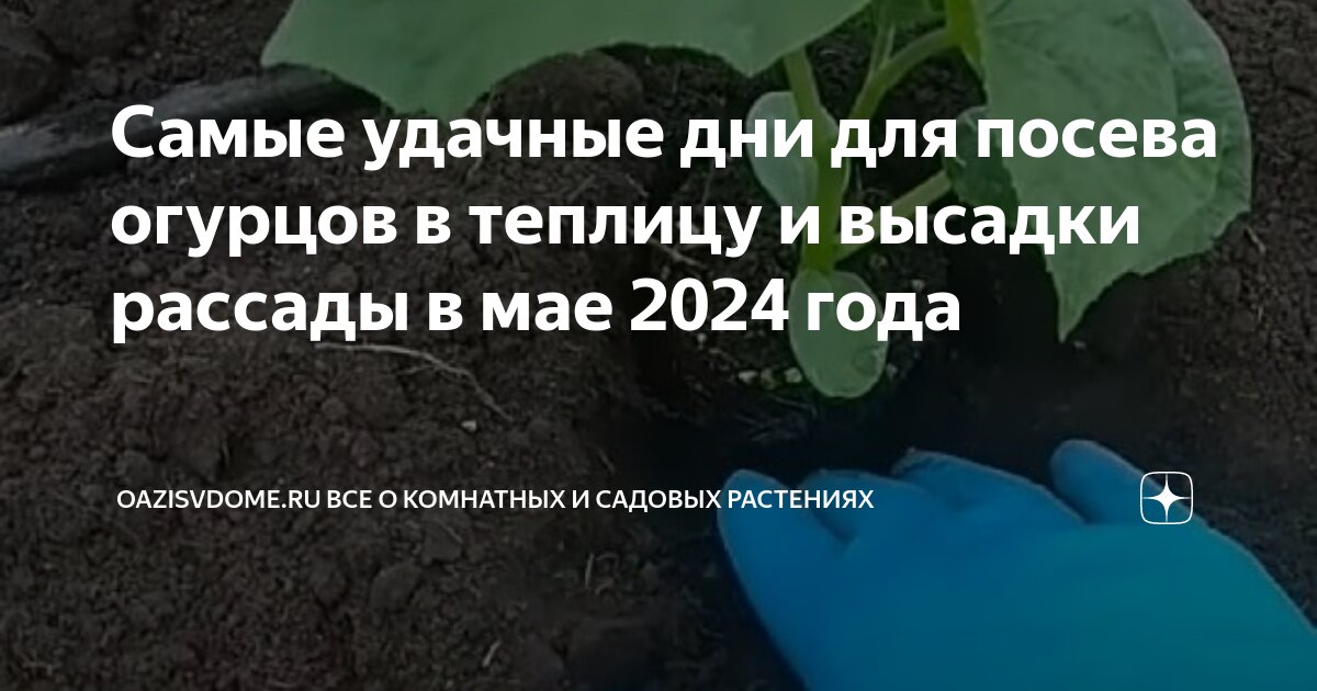 Благоприятный посевной календарь на апрель 2024