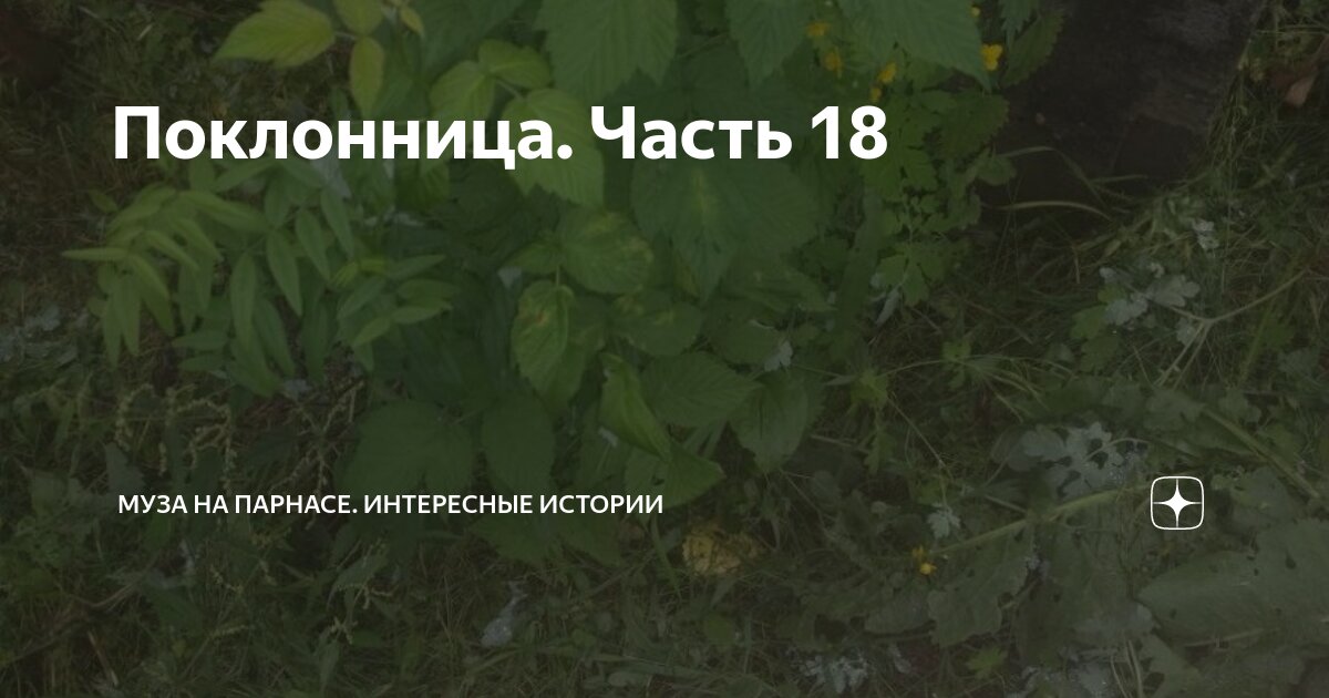 Поклонница. Часть 18 | Муза на Парнасе. Интересные истории | Дзен