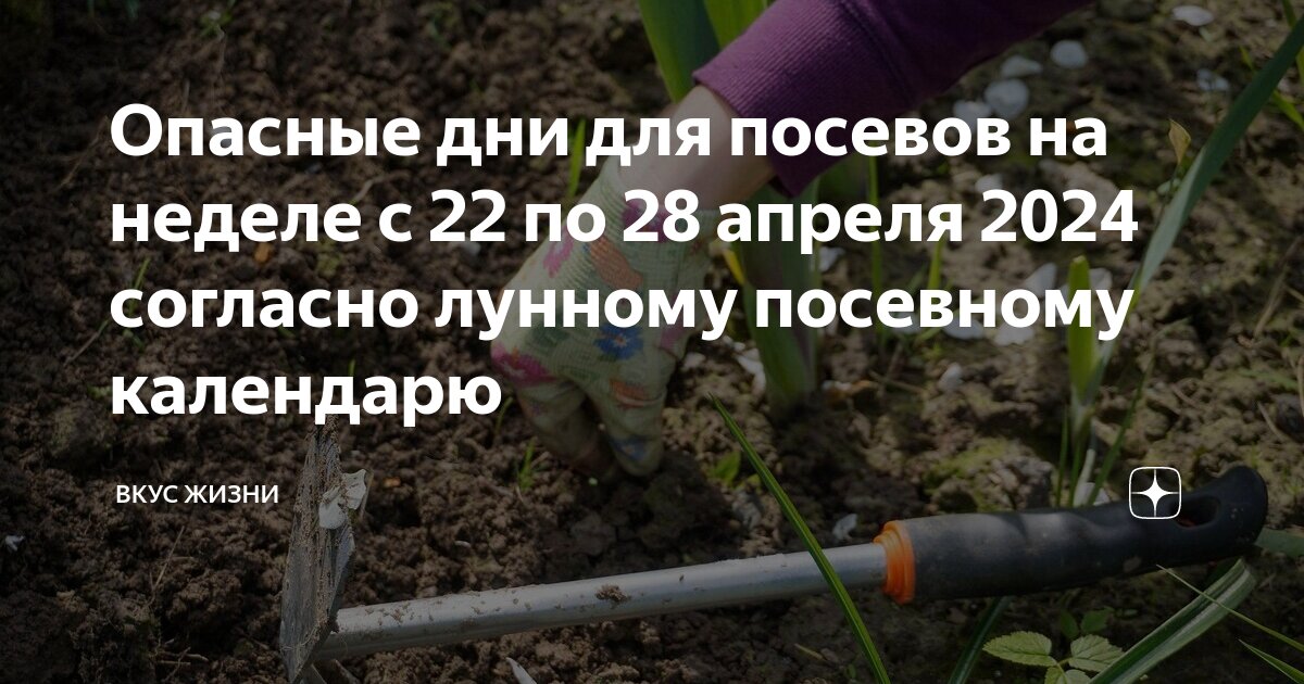 Благоприятные дни посадки огурцов в марте 2024г. Благоприятные дни посадки огурцов в марте 2024г