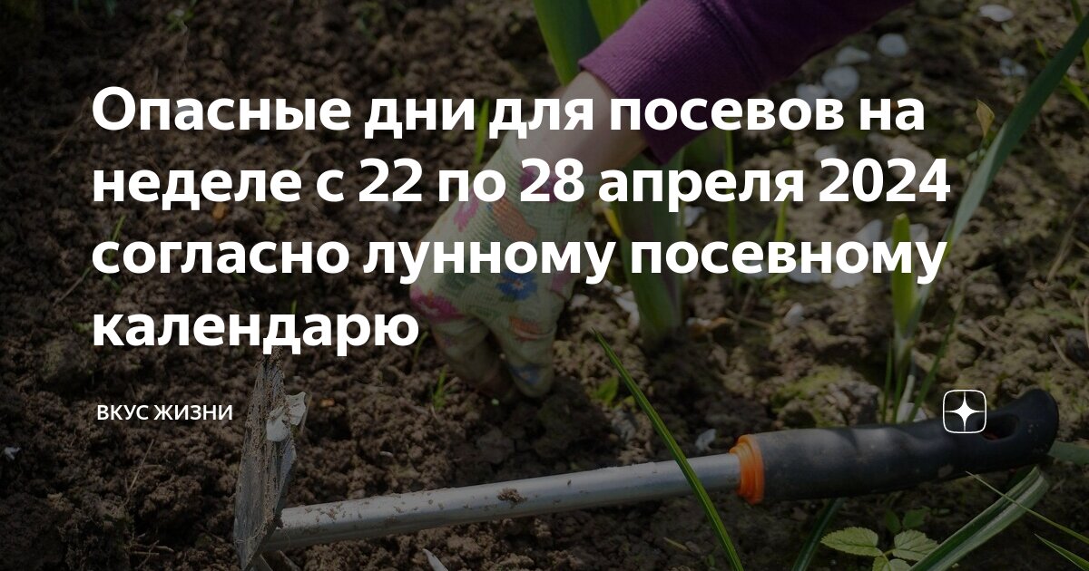 Лунный календарь на май 2024г для посева