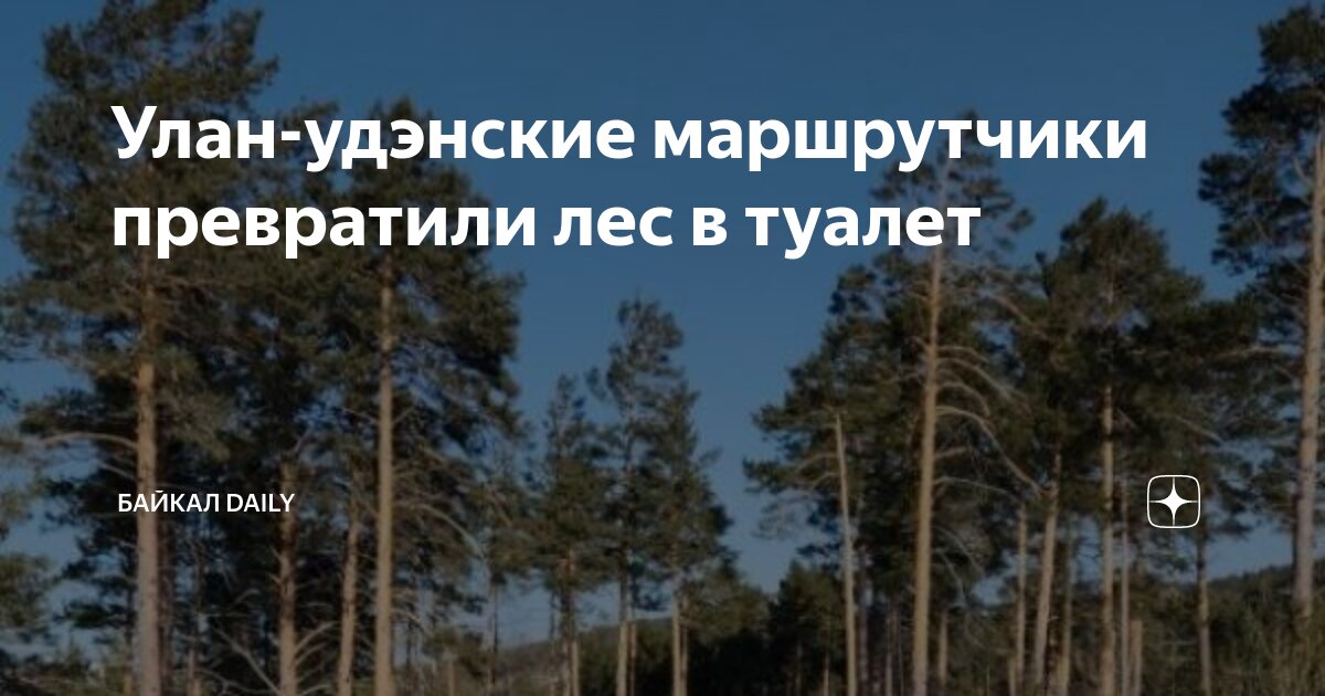 Улан-удэнские маршрутчики превратили лес в туалет | Байкал Daily | Дзен