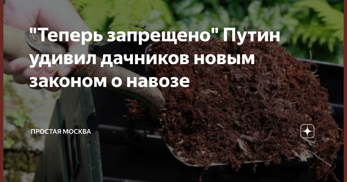 Новые законы для дачников в 2025. Новые законы для дачников в 2025