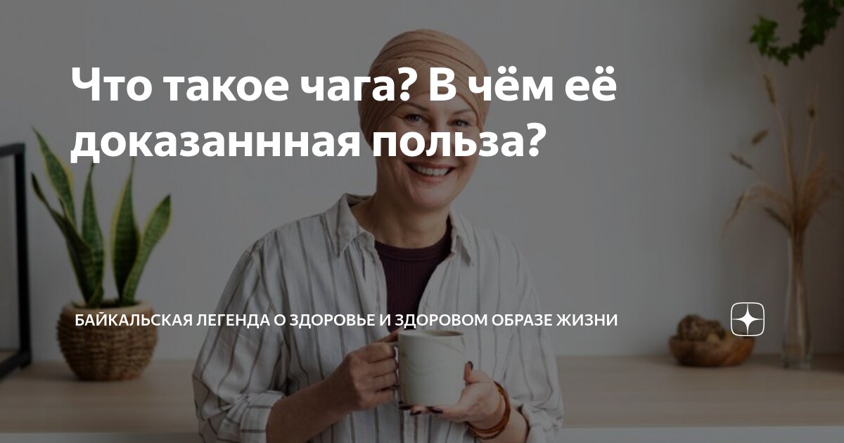 Что такое чага? В чём её доказаннная польза? | Байкальская легенда о ...