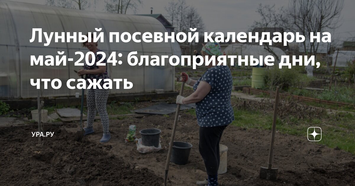 Лунный календарь посадки цветов на апрель 2024