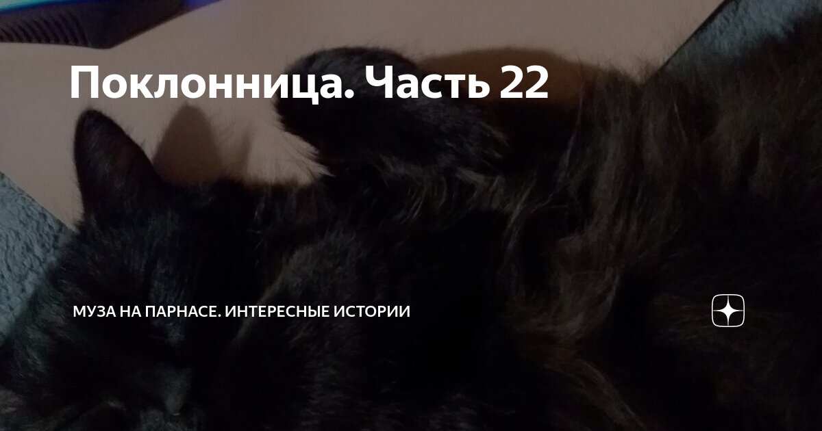 Поклонница. Часть 22 | Муза на Парнасе. Интересные истории | Дзен