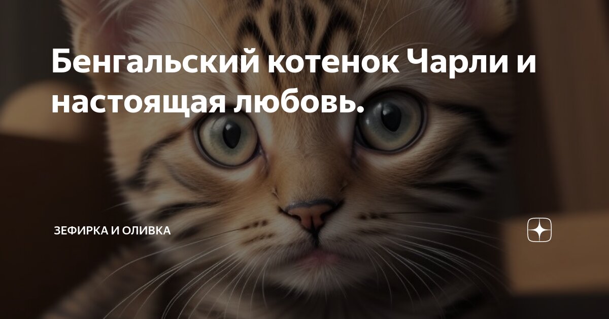 Бенгальский котенок Чарли и настоящая любовь. | Зефирка и Оливка | Дзен