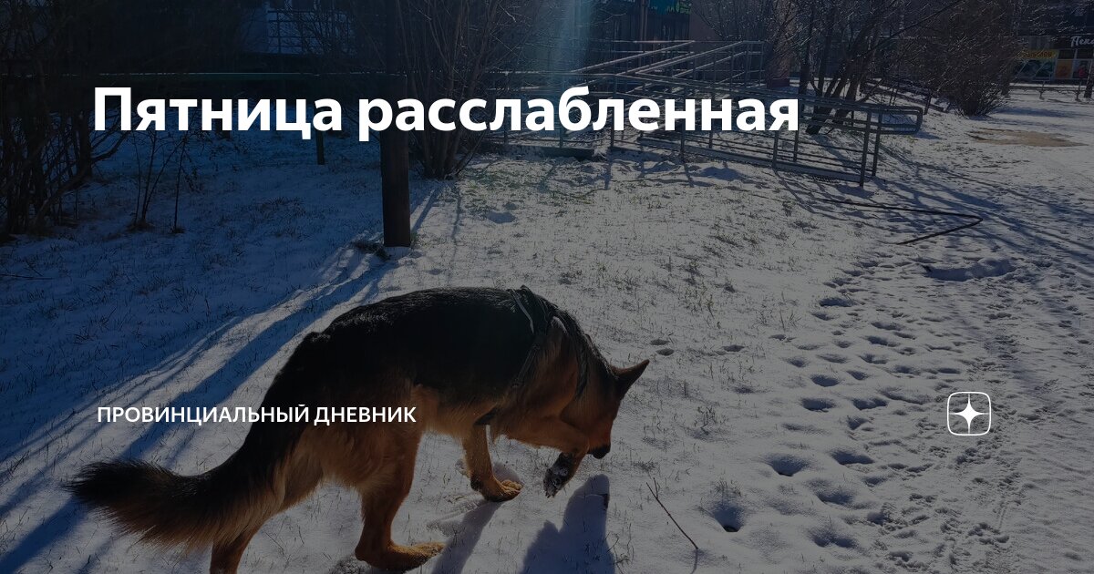 Пятница расслабленная | Провинциальный дневник | Дзен