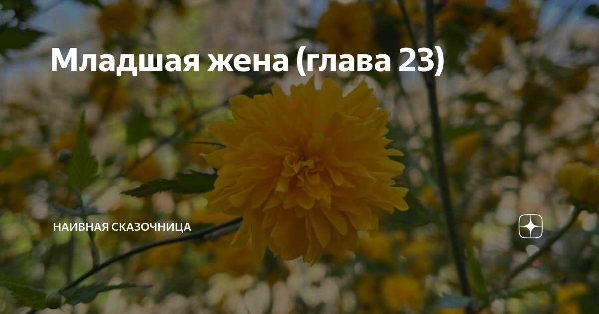 Младшая жена (глава 23) | Наивная сказочница | Дзен