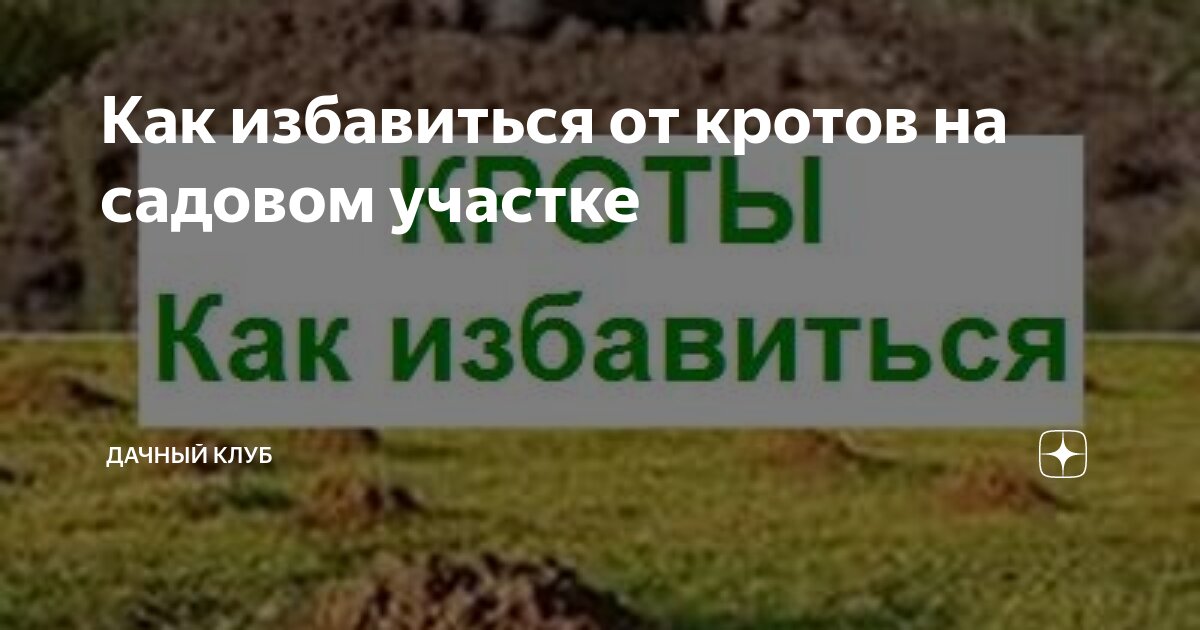 Как бороться с кротами на участке?