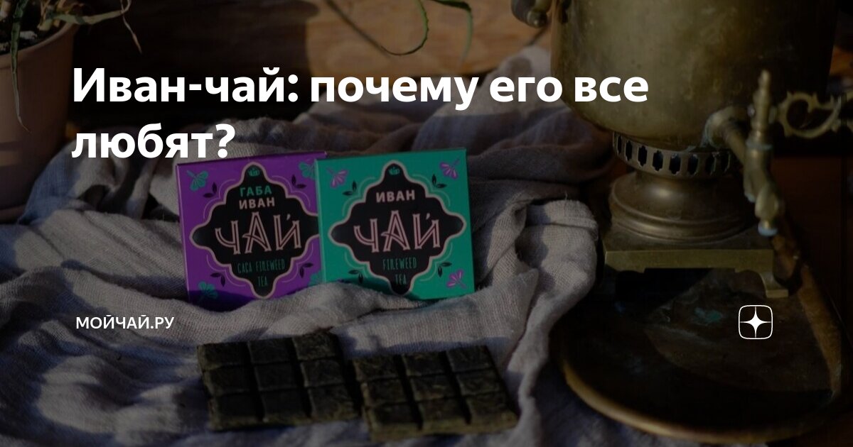 Иван-чай: почему его все любят? | Мойчай.ру | Дзен