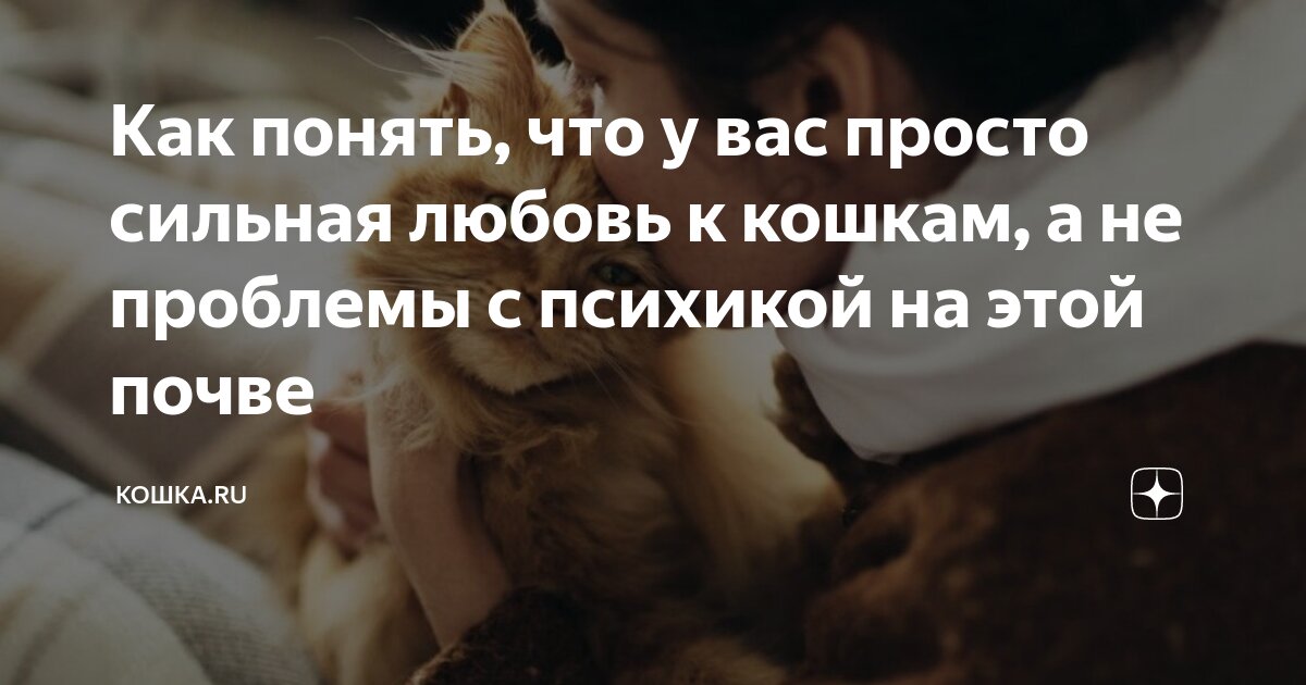 как понять что кошка тебя не любит